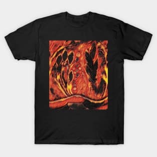 Stocksom Plum Passion Fire T-Shirt